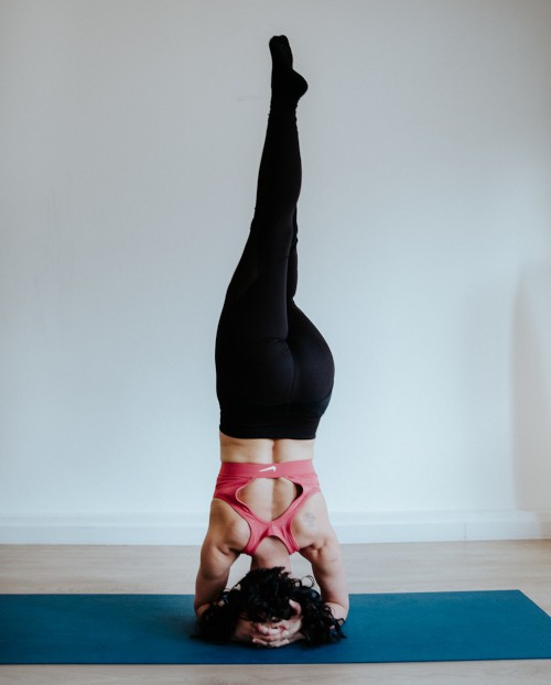 Hatha Vinyasa Yoga 1